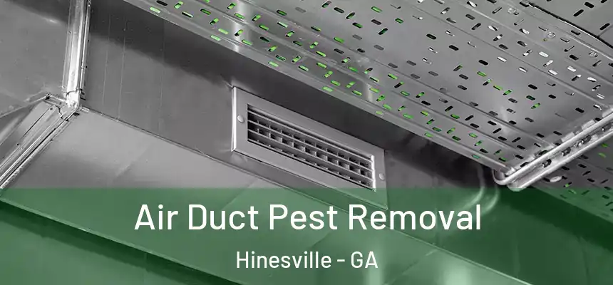 Air Duct Pest Removal Hinesville - GA