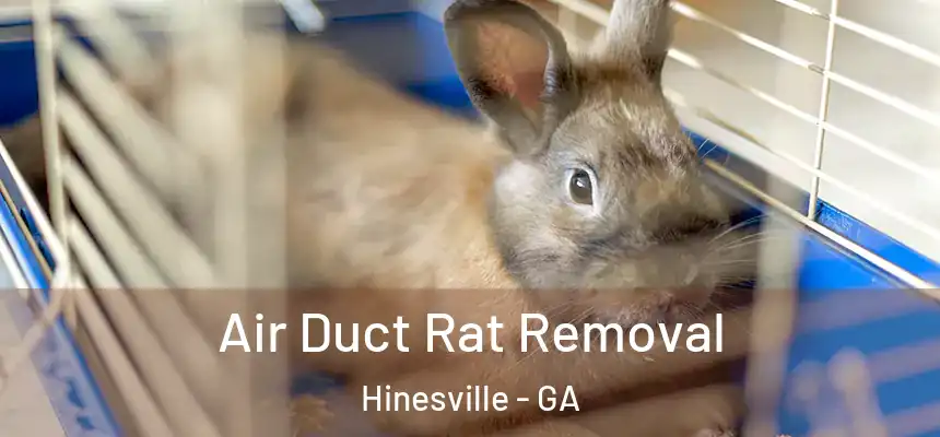 Air Duct Rat Removal Hinesville - GA