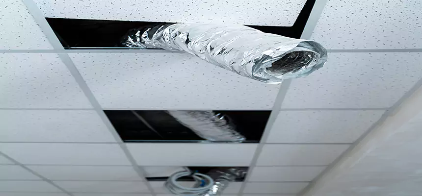 Affordable HVAC Sanitizing After Pest Removal in Hinesville