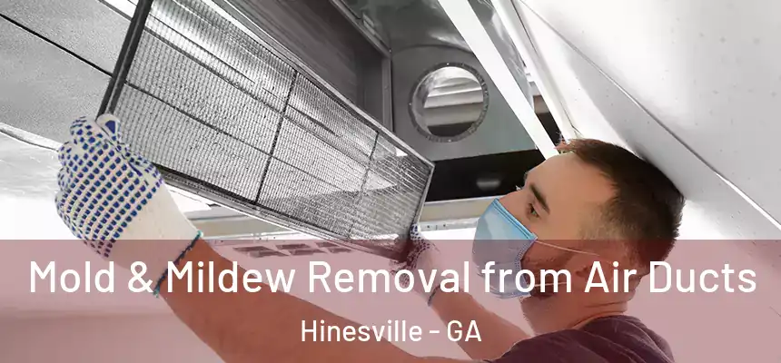 Mold & Mildew Removal from Air Ducts Hinesville - GA