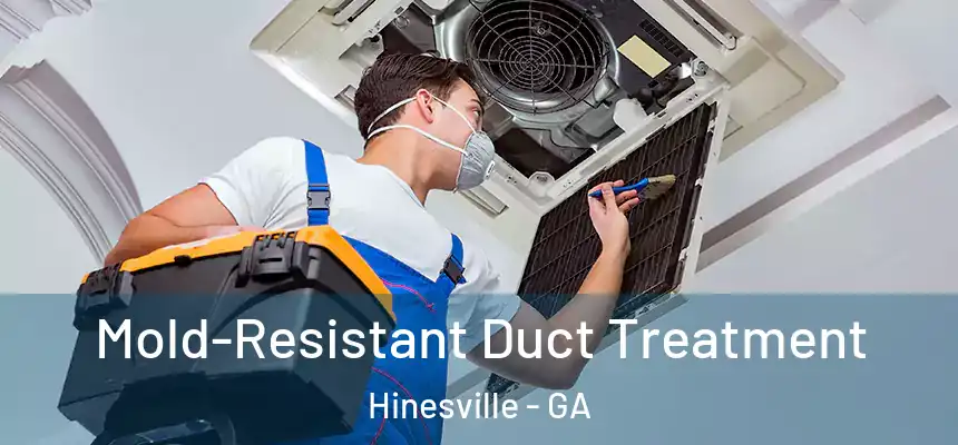  Mold-Resistant Duct Treatment Hinesville - GA