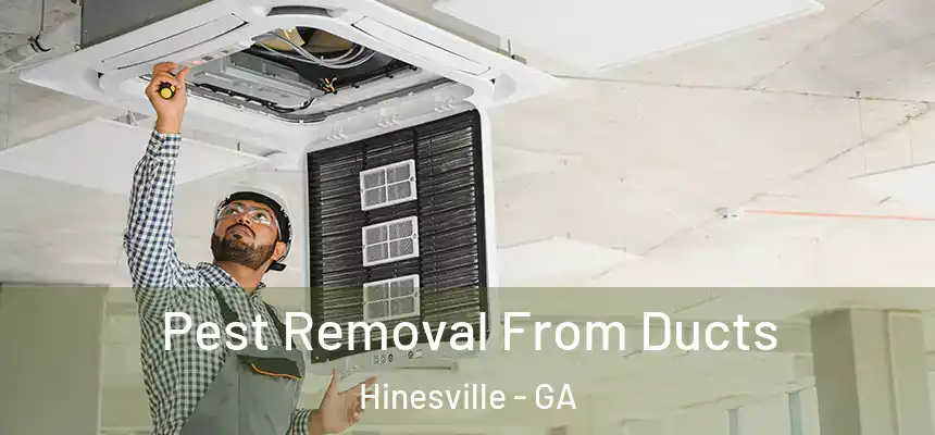 Pest Removal From Ducts Hinesville - GA