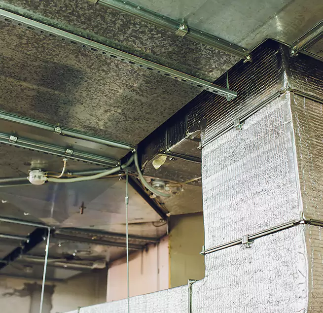 Why Homeowners & Businesses Trust Us in Hinesville, GA?